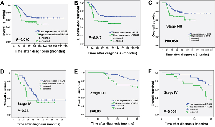 High expression of ISG15 indicated a shorter overall survival and disease-free survival in NPC patients.