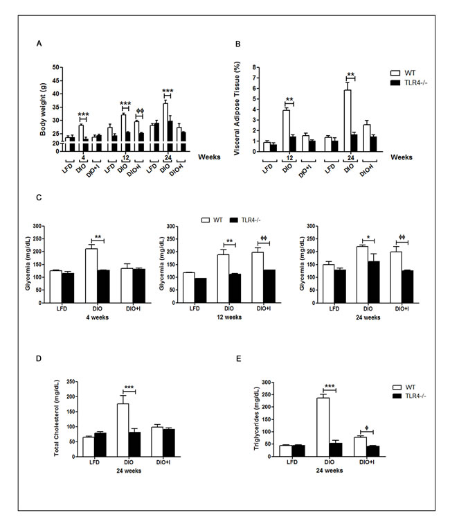 TLR4 signaling mediates obesity development, glucose and lipid abnormalities triggered by diet and