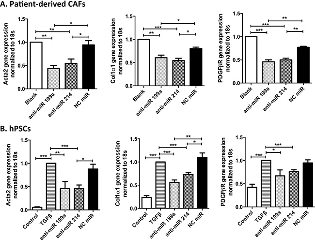 Effect of inhibition of miR-199a and -214 on CAFs and hPSCs transdifferentiation.