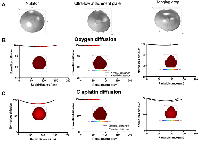 Diffusion profiles of oxygen and diffusion in 500 cells/drop ovarian cancer experimental spheroids as a function of platform used for spheroid generation.