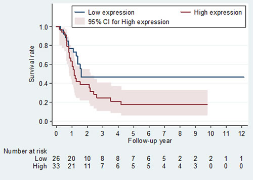 Kaplan-Meier survival curves and at-risk tables associated with ANP32A expression defined by the Allred scoring system among oral cancer patients with N2+N3 lymph node stage.