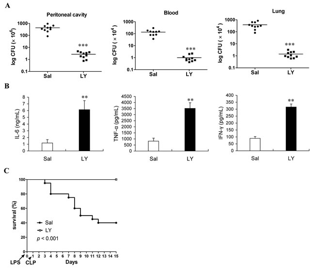 Infusion of lymphocytes can effectively enhance resistance to subsequent infection and improve survival of sepsis mice undergoing second-hit.