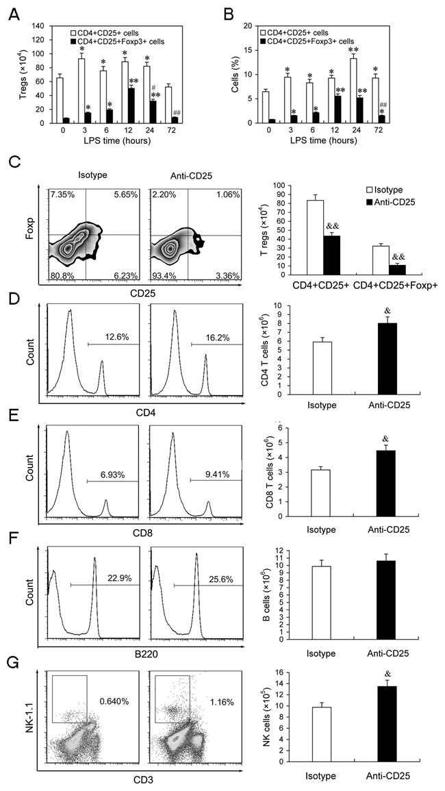 The expansion of T regs is involved in regulation of T cells and NK cells number in LPS-induced sepsis mice.