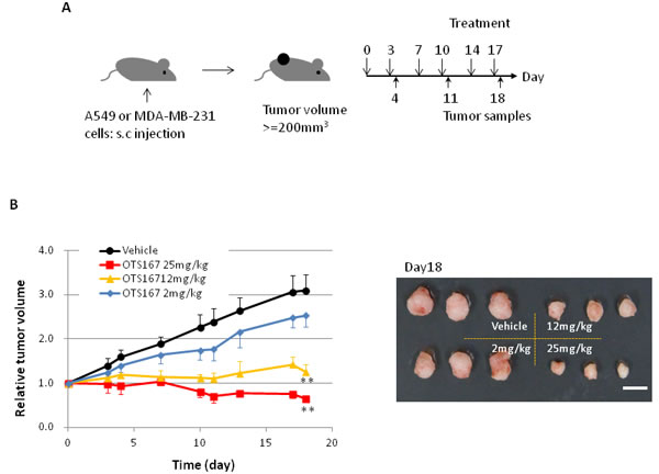 Figure 3: