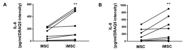Increased secretion of senescence-associated cytokines by irradiated MSC.