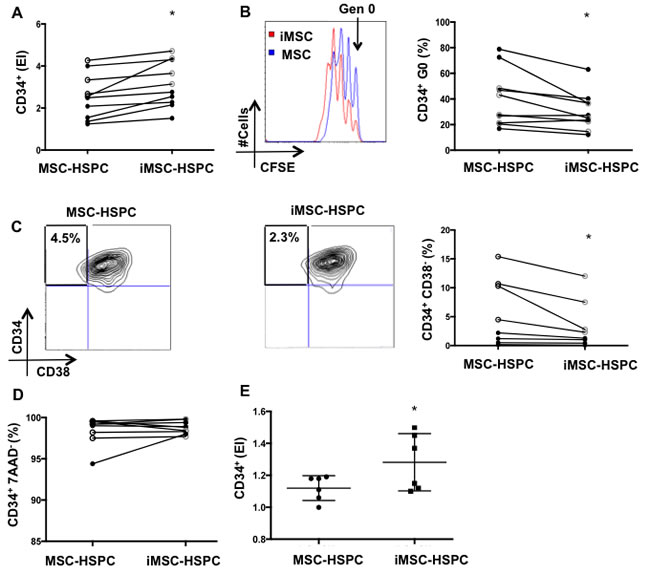 Senescent MSC reduce HSPC quiescence and the frequency of primitive CD34