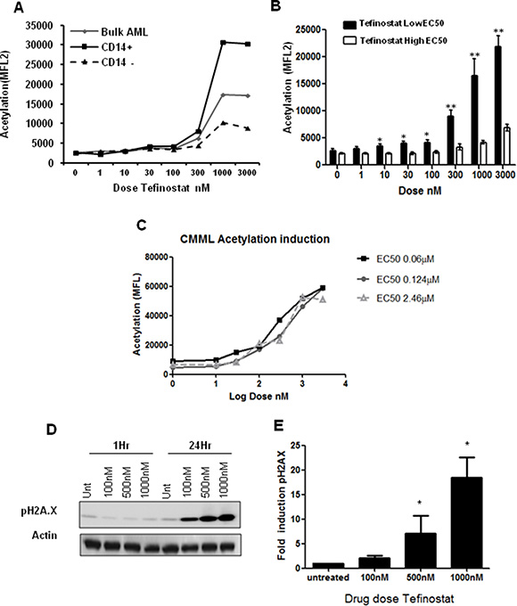 Increases in intracellular acetylation and DNA damage induction are biomarkers of Tefinostat efficacy.