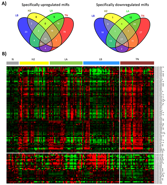Subtype-specific miRNAs in 122 breast tumors.