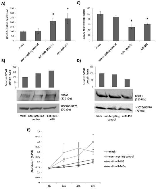 Effect of miR-498 expression and inhibition on BRCA1 expression and cell proliferation.
