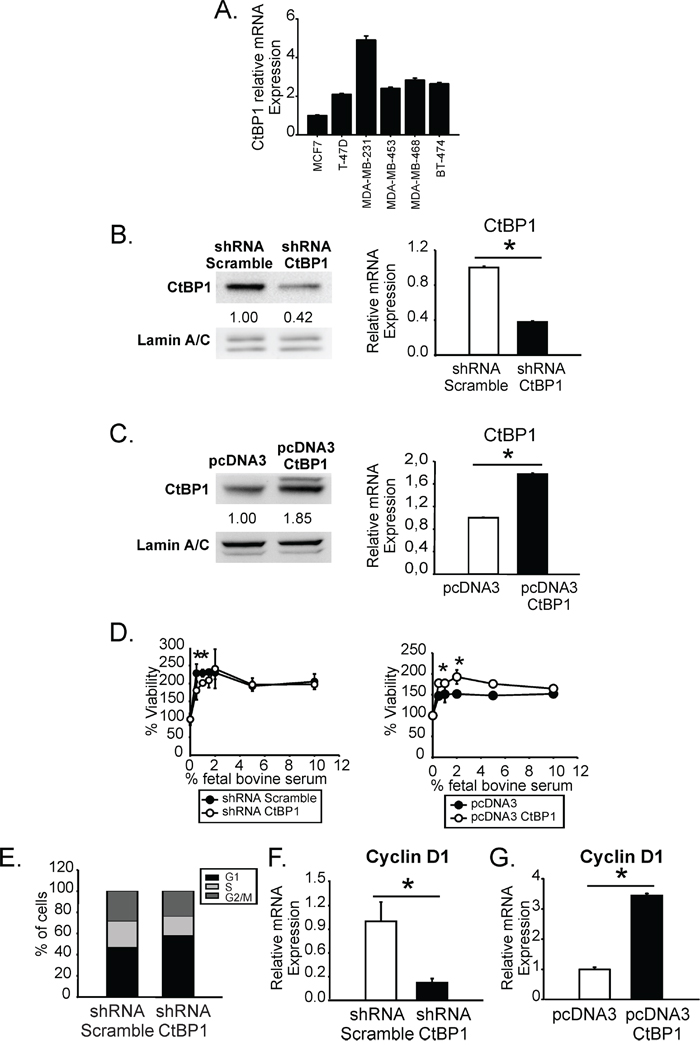 CtBP1 expression increased breast cancer cell proliferation inhibiting cell cycle arrest and inducing Cyclin D1 expression.