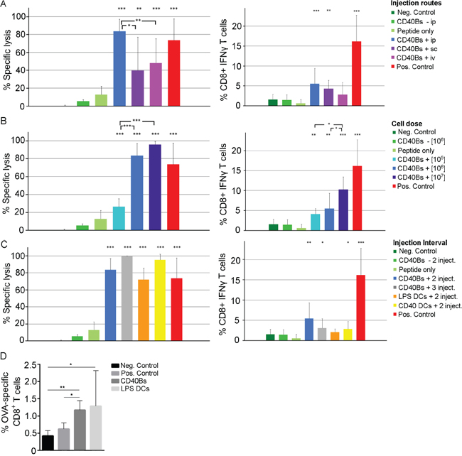 Immunization with CD40B cells induces specific T-cell responses in vivo.