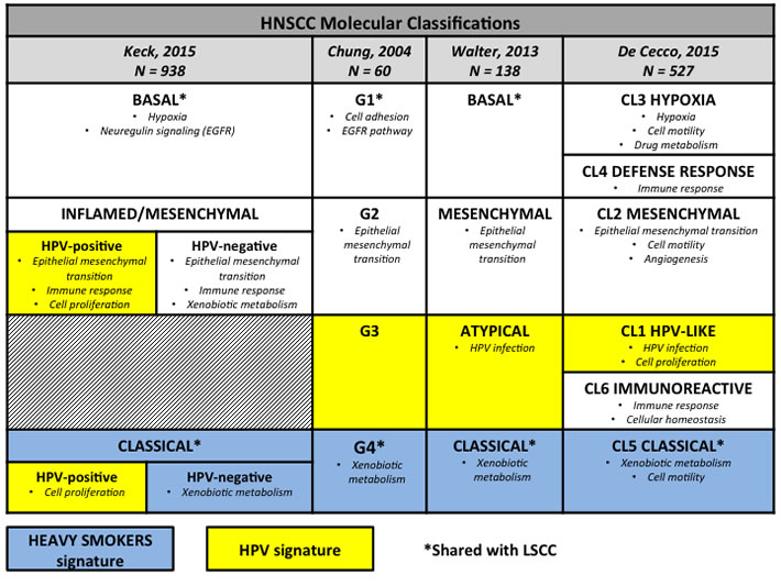 Molecular subtypes in head and neck squamous cell carcinomas.