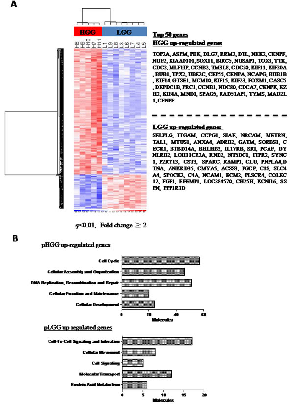 Gene expression microarray analysis of pediatric gliomas.