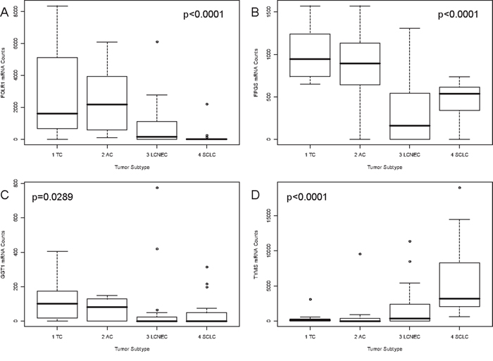 Correlation of FOLR1, FPGS, GGT1 and TYMS mRNA expression and tumor subtype.