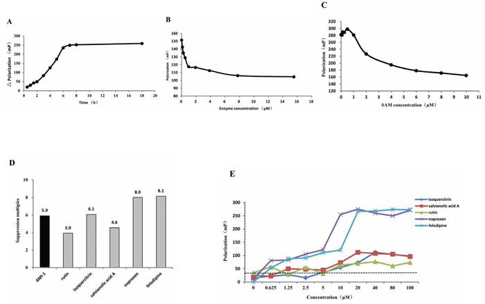 Screening of PRMT1 inhibitors.