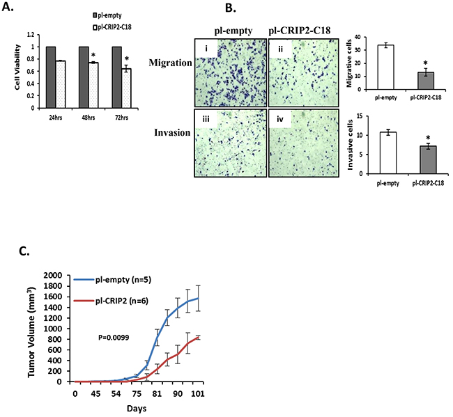 Stable overexpression of CRIP2 reduced tumorigenicity in vitro and in vivo.