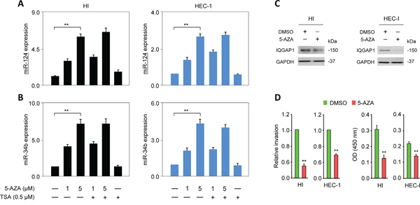 MiR-124 is epigenetically silenced in endometrial cancer cells.