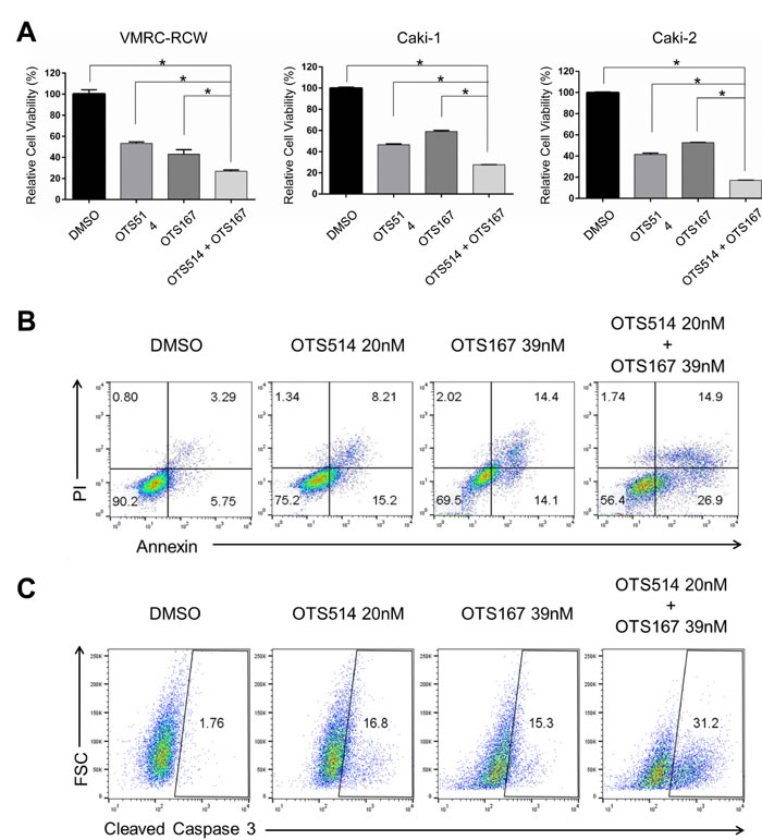 The effects in the decrease of kidney cancer cell viability by combination of OTS514 and OTS167.