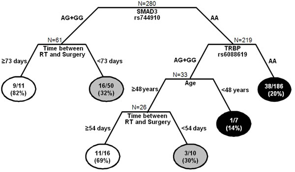 Classification and regression tree of SNPs and clinical-demographic characteristics predictive of pathological complete response (pCR)(TRG1).