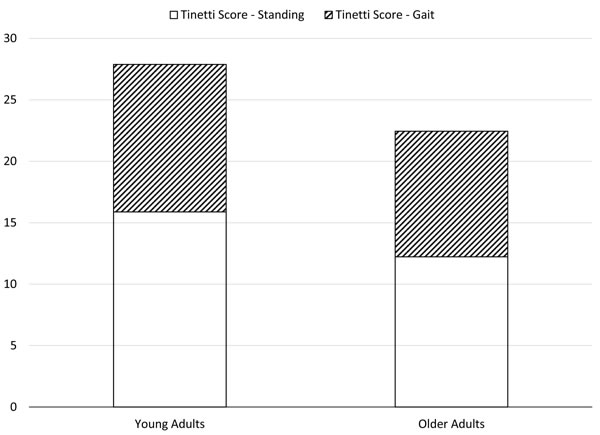 Tinetti balance scores in young and older participants.