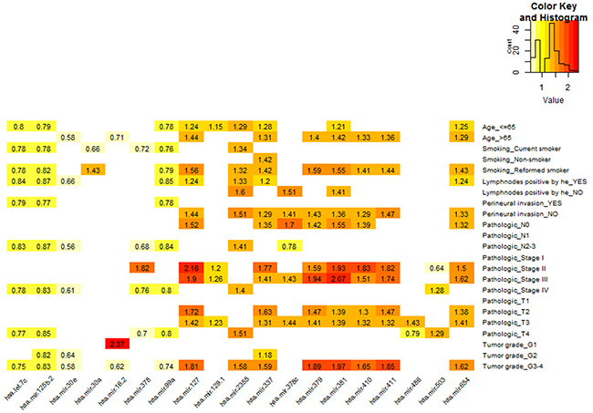 MiRNAs associated with prognosis in different clinical subclasses of TCGA HNSCC cohort.