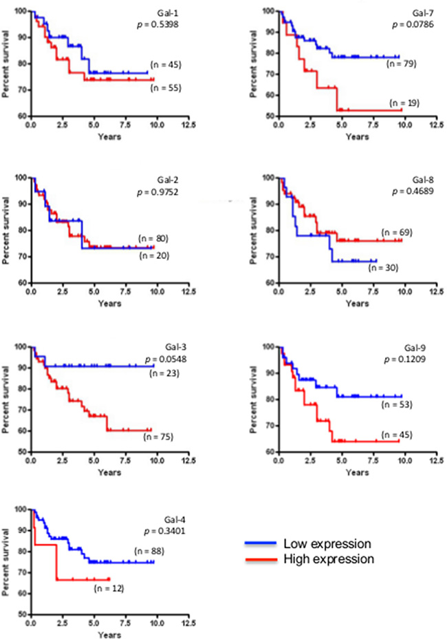 Prognostic potential of galectin in across molecular subtypes of breast cancer.
