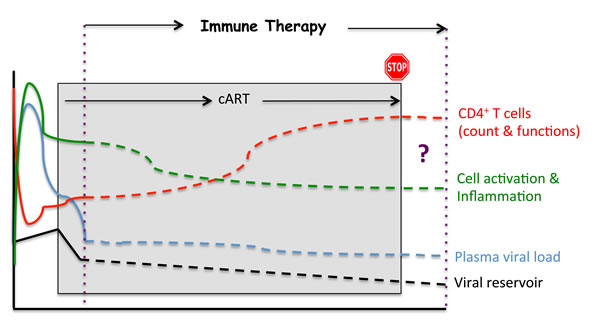 Potential impacts of an immunotherapeutic strategy.