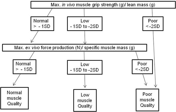 Modified algorithm to define muscle quality index in mice based on Barbat-Artigas
