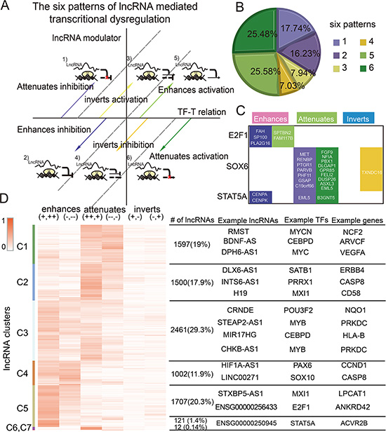The complex patterns of lncRNA mediated transcriptional dysregulation.