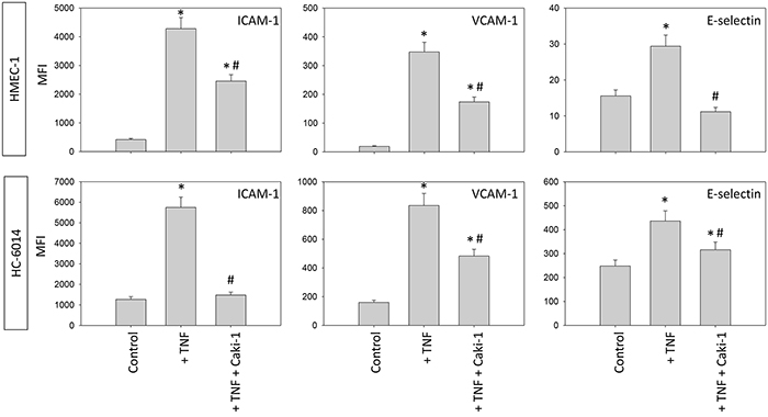 Endothelial surface expression of adhesion receptors on HUVEC after TNF-alpha [500 U/ml] stimulation and/or co-cultivation with Caki-1 cells under flow conditions.