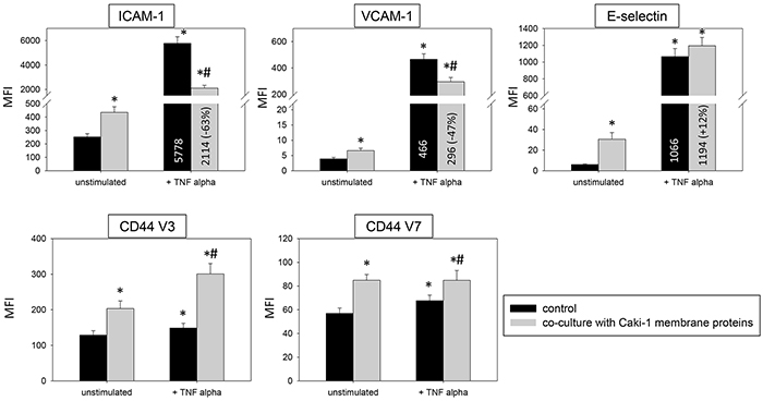 HUVEC conditioning of surface expression by Caki-1 membrane proteins.