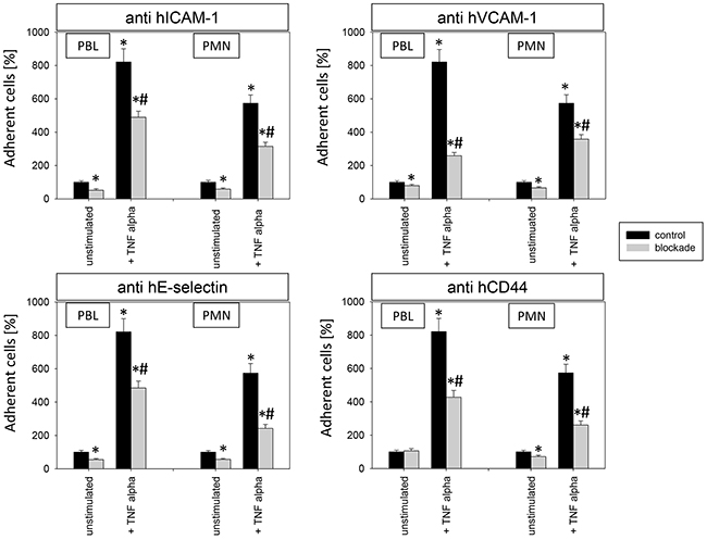 Impact of alteration in endothelial receptor expression on PBL and PMN adhesion to endothelium.