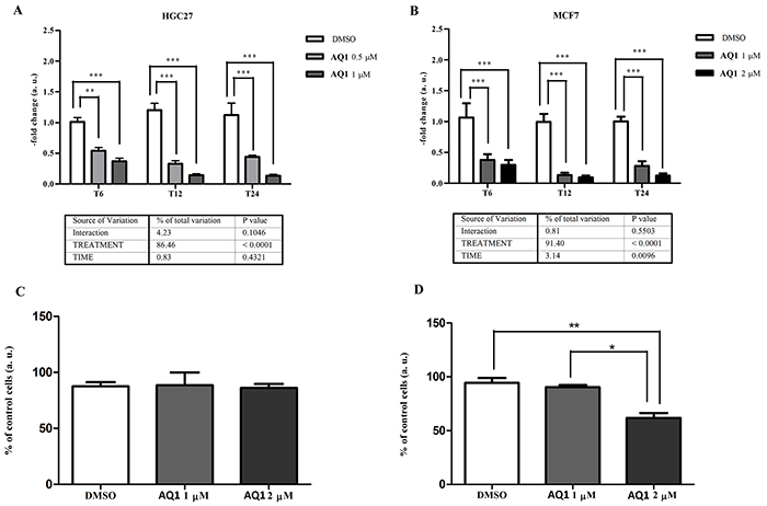 Effects of AQ1 exposure on BCL2 mRNA and corresponding protein expression in HGC27 and MCF7 cell lines.