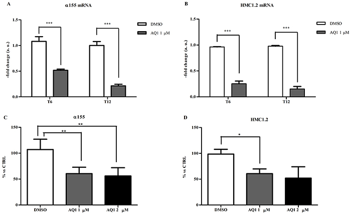 Effect of AQ1 on c-KIT mRNA and protein expression in &#x03B1;155 and HMC1.2 cell lines: