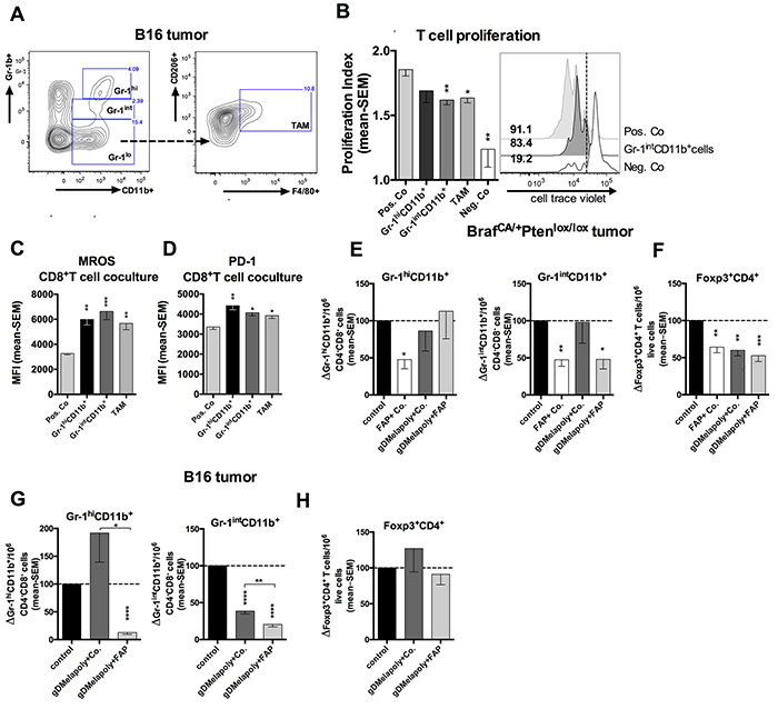 ISCs that enhance the metabolic stress and PD-1 expression of activated CD8&#x002B;T cells were reduced by FAP&#x002B; tumor stromal cell depletion.