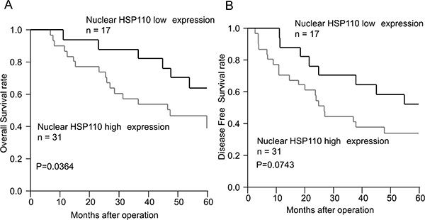 The survival curves of gastric cancer patients who received adjuvant chemotherapy according to nuclear HSP110 expression.