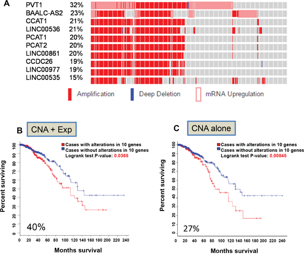 Identification of the first lncRNA signature associated with overall survival.