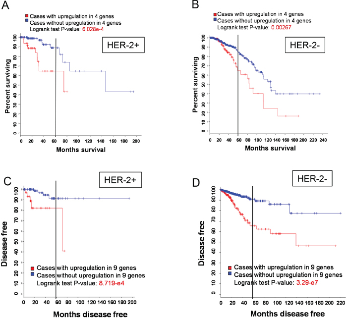 HER-2 status and OS or recurrence.