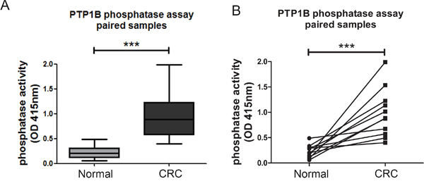 Intrinsic activity of PTP1B is increased in colorectal cancer.