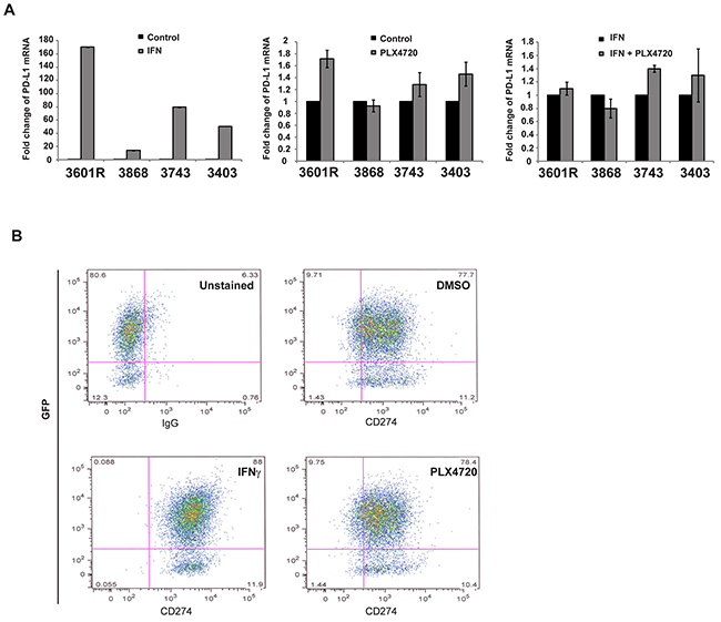 Murine cell lines were treated with PLX4720, IFN&#x03B3; and the combination of the two.