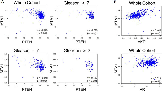 GEO analyses for correlation of MTA1 with PTEN, AKT1 and AR.