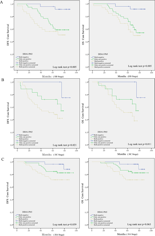 Kaplan-Meier survival analyses for stage II colon cancer patients undergoing post-operative 5-FU-based adjuvant chemotherapy.