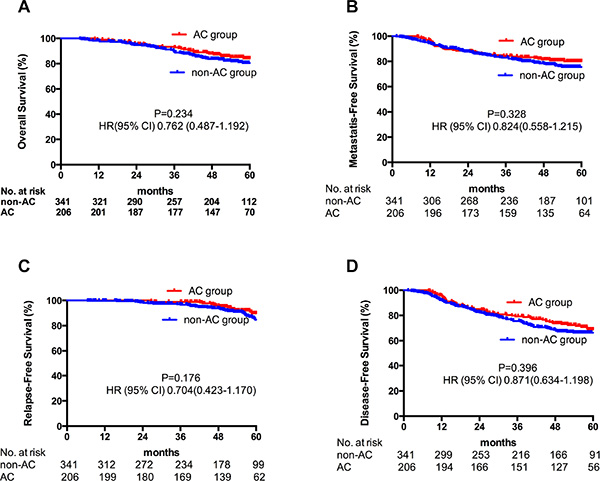 Kaplan-Meier estimate of OS (A), DMFS (B), LRFS (C) and DFS (D) in all N2&#x2013;3 patients stratified by adjuvant chemotherapy.