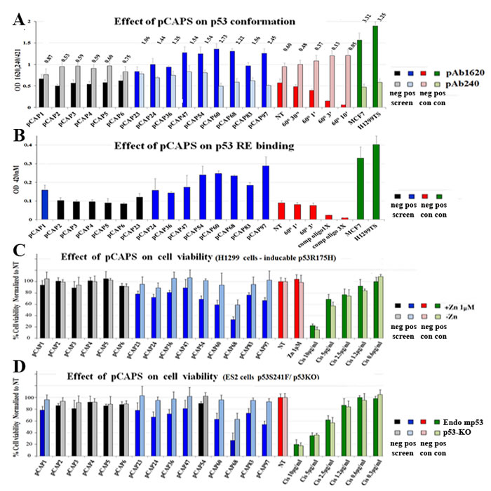 Screening for functional peptides.