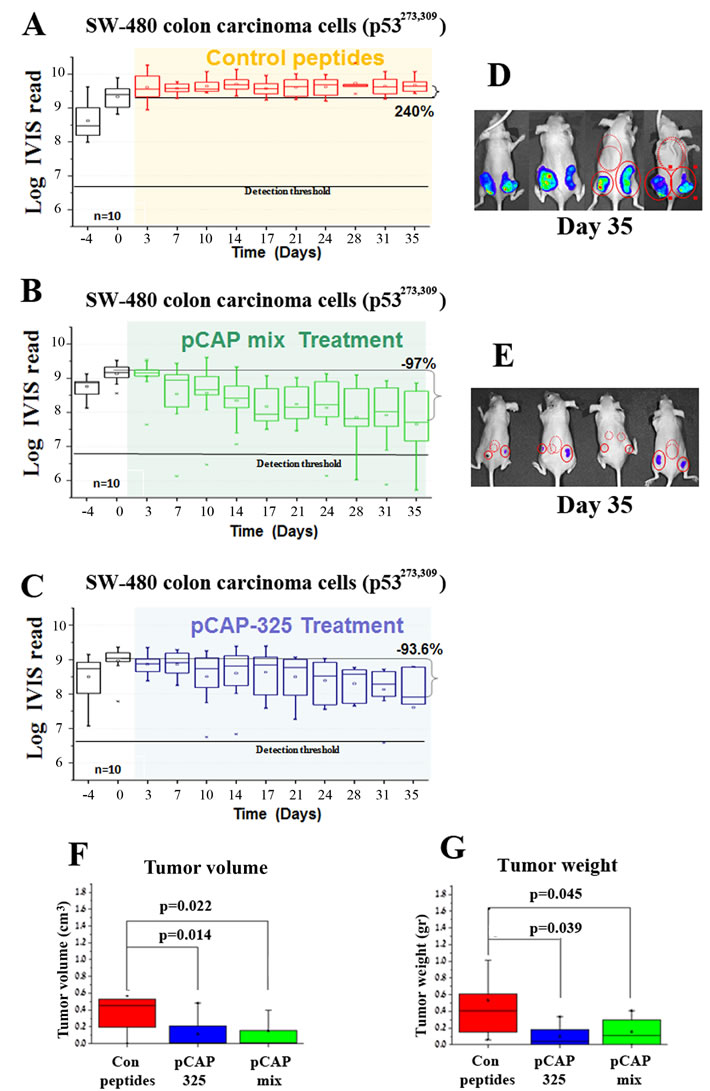 Effect of lead peptides on tumor progression