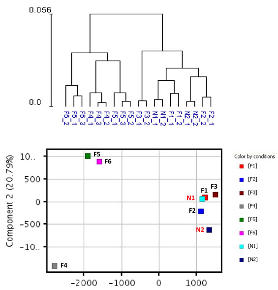 Hierarchical clustering and principal component analysis of gene expression data from SF cultures.