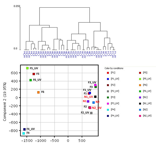 Hierarchical clustering and principal component analysis of gene expression data from SF cultures before and after UV irradiation.