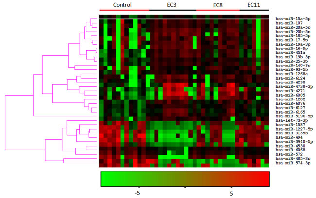 Heatmap of the hierarchical clustering of the 35 differently expressed miRNAs in smokers and non-smokers.