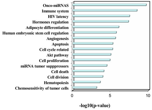 Enriched functions of the up-regulated miRNAs identified in healthy middle-aged smokers from Takahashi et al.&#x2019;