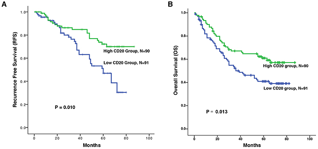 Kaplan-Meier survival analysis of CD20+ B cells in patients with ESCC.